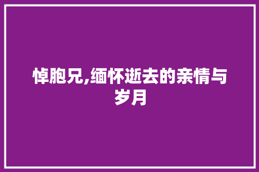悼胞兄,缅怀逝去的亲情与岁月