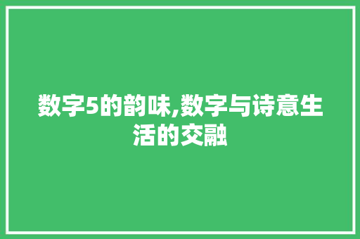 数字5的韵味,数字与诗意生活的交融