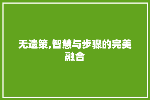 无遗策,智慧与步骤的完美融合