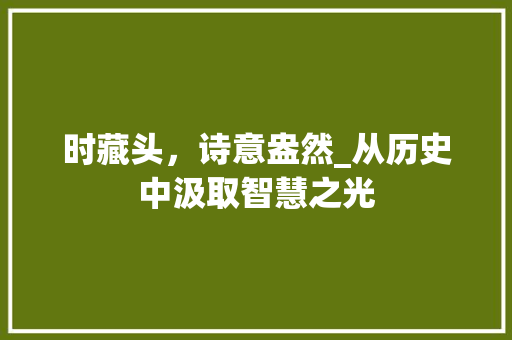时藏头，诗意盎然_从历史中汲取智慧之光