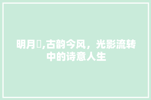 明月珰,古韵今风，光影流转中的诗意人生