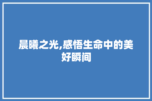 晨曦之光,感悟生命中的美好瞬间