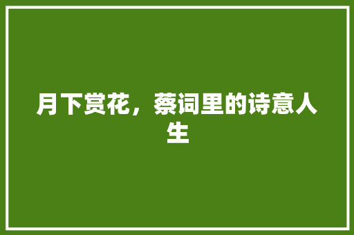 月下赏花，蔡词里的诗意人生