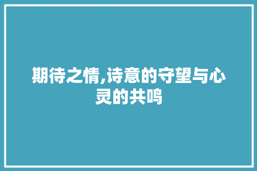 期待之情,诗意的守望与心灵的共鸣