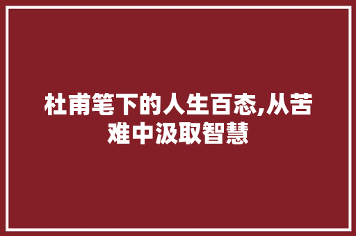 杜甫笔下的人生百态,从苦难中汲取智慧