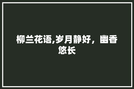 柳兰花语,岁月静好，幽香悠长