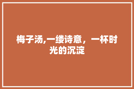 梅子汤,一缕诗意，一杯时光的沉淀
