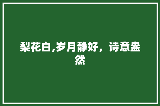 梨花白,岁月静好，诗意盎然