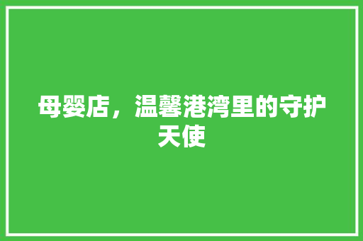 母婴店，温馨港湾里的守护天使