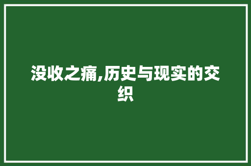 没收之痛,历史与现实的交织