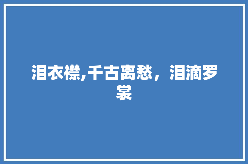 泪衣襟,千古离愁，泪滴罗裳