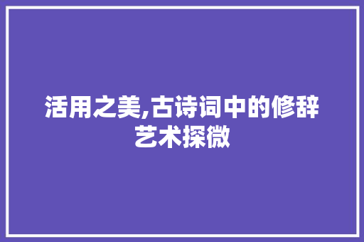 活用之美,古诗词中的修辞艺术探微