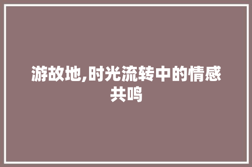 游故地,时光流转中的情感共鸣
