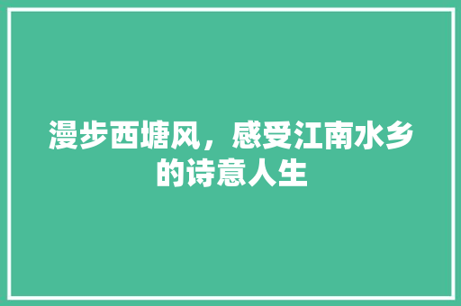 漫步西塘风，感受江南水乡的诗意人生
