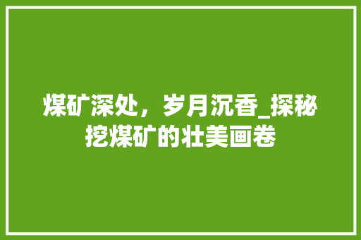 煤矿深处，岁月沉香_探秘挖煤矿的壮美画卷