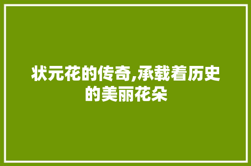 状元花的传奇,承载着历史的美丽花朵
