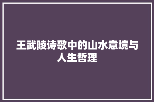 王武陵诗歌中的山水意境与人生哲理 工作总结