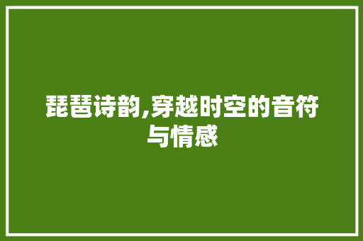 琵琶诗韵,穿越时空的音符与情感
