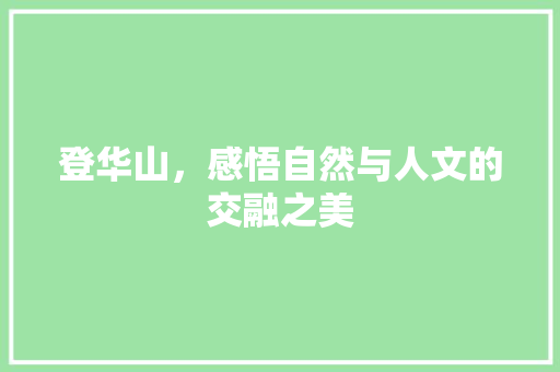 登华山，感悟自然与人文的交融之美 应用文