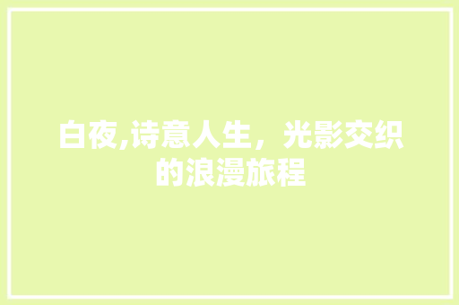 白夜,诗意人生，光影交织的浪漫旅程