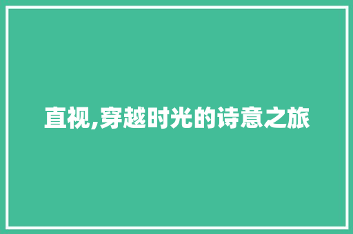 直视,穿越时光的诗意之旅