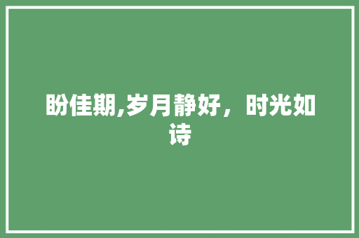 盼佳期,岁月静好，时光如诗