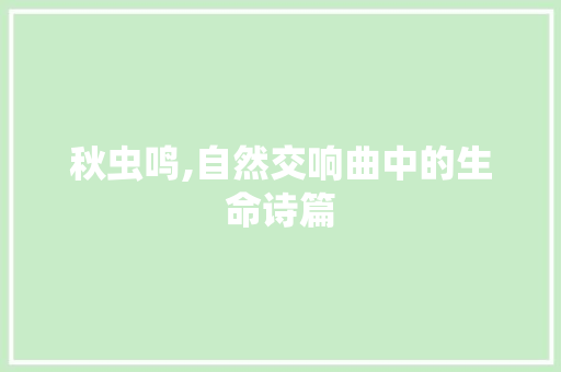 秋虫鸣,自然交响曲中的生命诗篇
