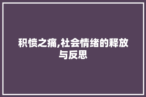 积愤之痛,社会情绪的释放与反思