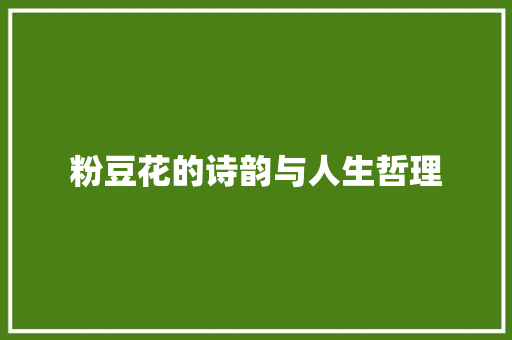 粉豆花的诗韵与人生哲理