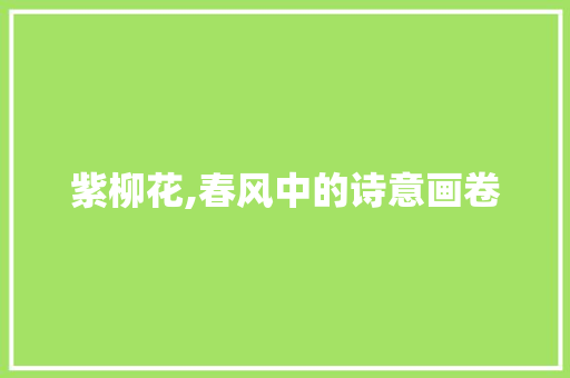 紫柳花,春风中的诗意画卷