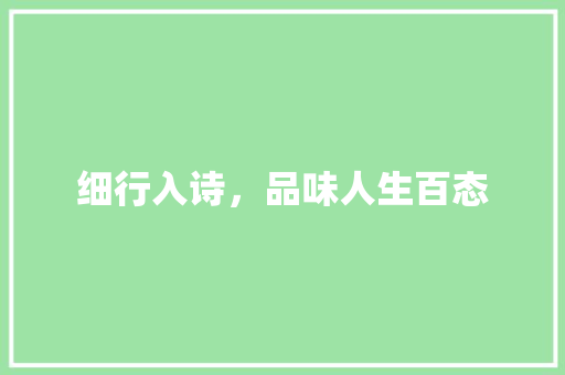 细行入诗，品味人生百态