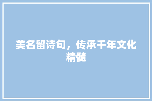 美名留诗句，传承千年文化精髓