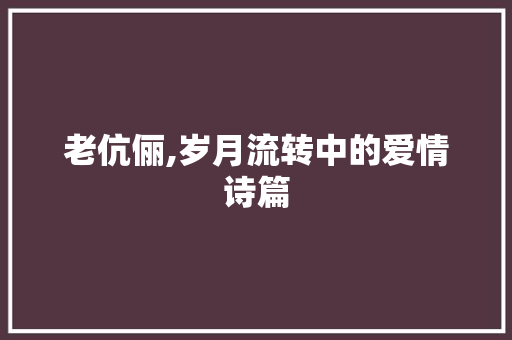 老伉俪,岁月流转中的爱情诗篇