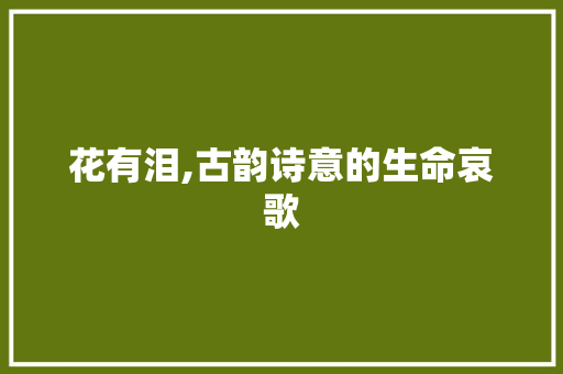 花有泪,古韵诗意的生命哀歌