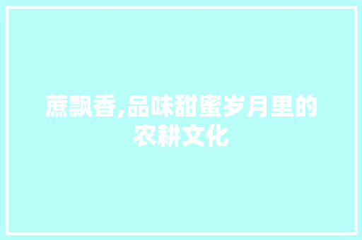 蔗飘香,品味甜蜜岁月里的农耕文化