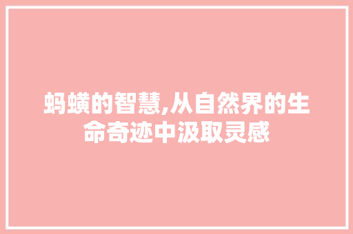 蚂蟥的智慧,从自然界的生命奇迹中汲取灵感