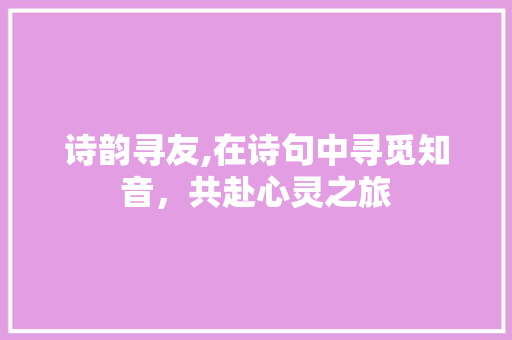 诗韵寻友,在诗句中寻觅知音，共赴心灵之旅