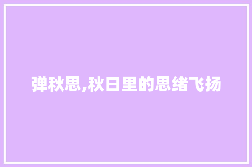 弹秋思,秋日里的思绪飞扬