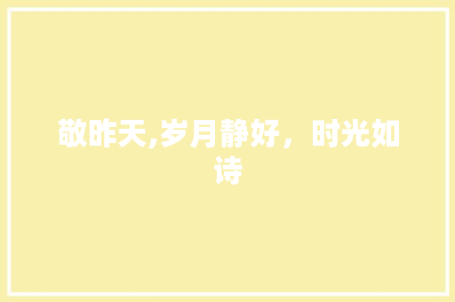 敬昨天,岁月静好，时光如诗