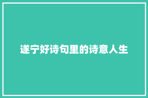 遂宁好诗句里的诗意人生