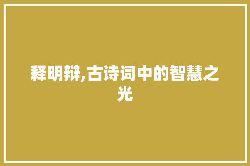 释明辩,古诗词中的智慧之光