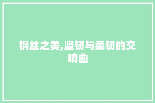 钢丝之美,坚韧与柔韧的交响曲 应用文