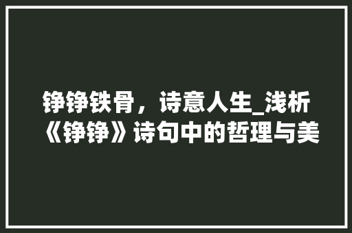 铮铮铁骨，诗意人生_浅析《铮铮》诗句中的哲理与美感
