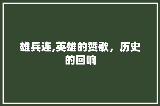 雄兵连,英雄的赞歌，历史的回响