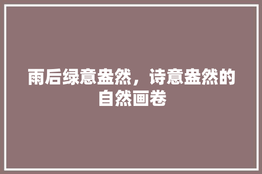 雨后绿意盎然，诗意盎然的自然画卷
