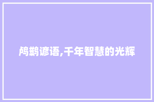 鸬鹚谚语,千年智慧的光辉