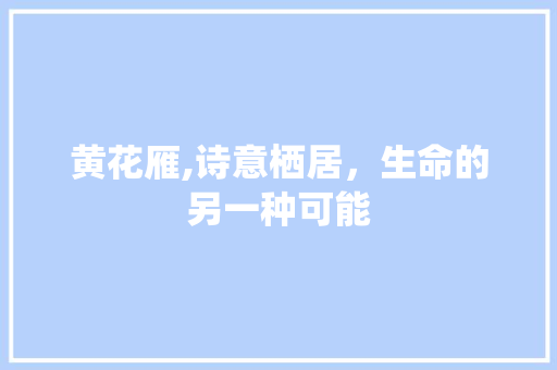 黄花雁,诗意栖居，生命的另一种可能