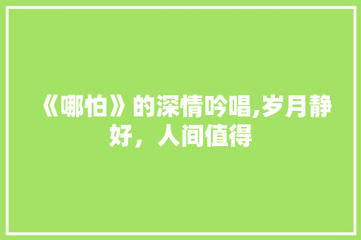 《哪怕》的深情吟唱,岁月静好，人间值得