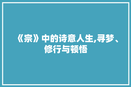 《宗》中的诗意人生,寻梦、修行与顿悟
