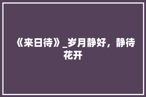 《来日待》_岁月静好，静待花开
